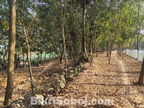 জমি বিক্রয়